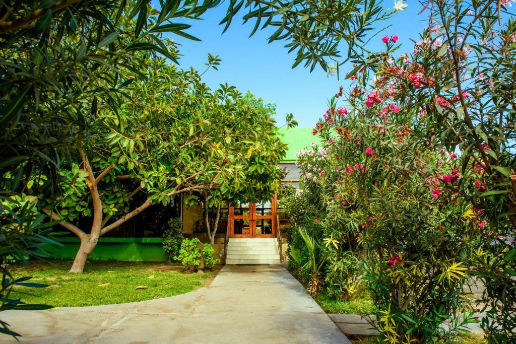 Hotel Del Valle Azapa Arica Luaran gambar
